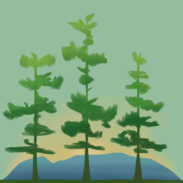 Northern Pines Counselling