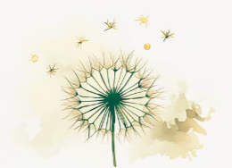 Leigh Kankewitt Counselling