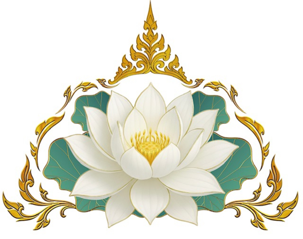 White Lotus Massage Therapy