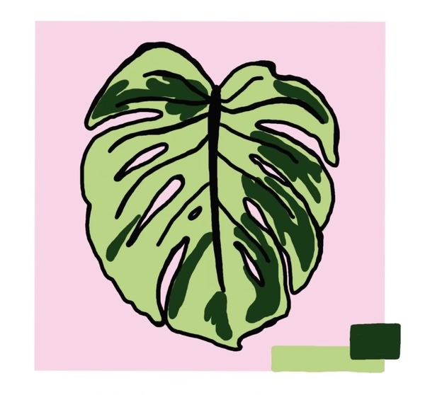Monstera Leaf Counselling