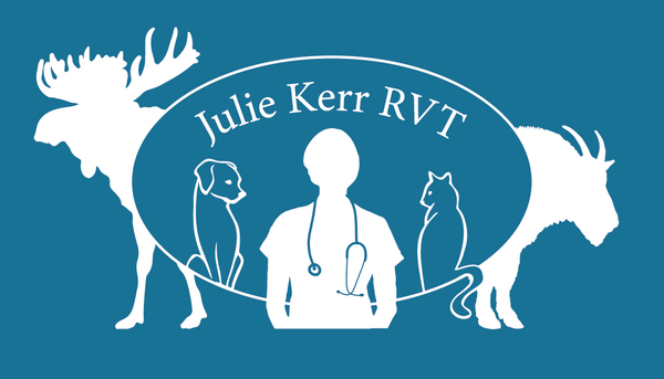 Julie Kerr RVT